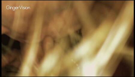 Cums in my mouth his cock glistens as I suck him dry.