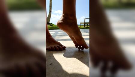 Morning walk in front of the camera☺️