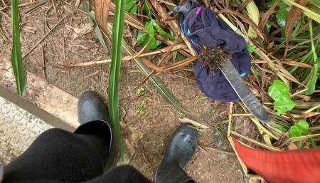 Meando y vinienodome frente al rio