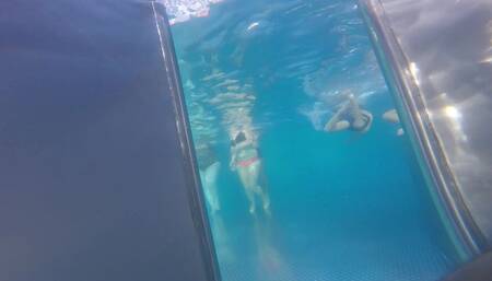 Pool Training für die FickFotzen