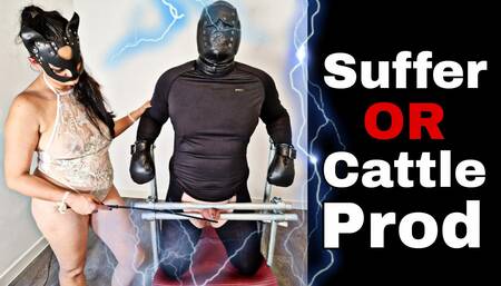 Femdom BDSM Bondage Suffer Whipping Caning Beating or Cattle Prod Electric Miss Raven Training Zero FLR Punishment
