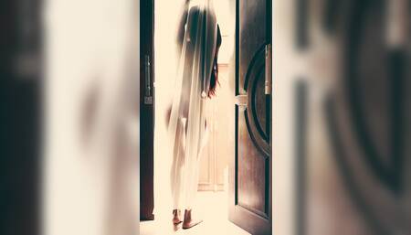Net curtain naked seduction