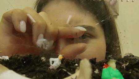 Eva's antfarm 6K  VR 360