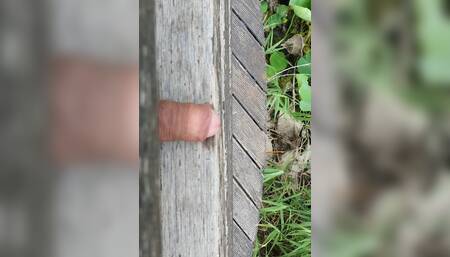 Uncut cock pissing outside