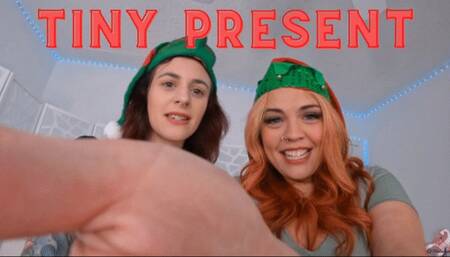 Tiny Present (1080)