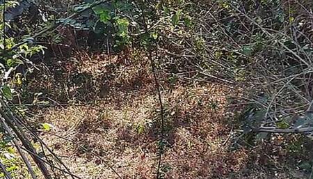Masturbate in jungal