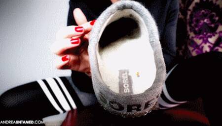 The Tiny Slipper Cleaner - Mobile