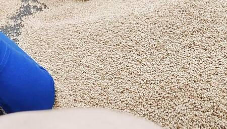 First time tight pussy Fucking with boyfriend village girl friend outdoors college sex