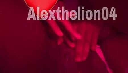 Alex The Lion