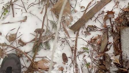 Twink slave boy allowed to pee in the snow for the first time