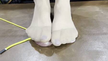 Close-up cock and balls fullweight trampling (wmv)