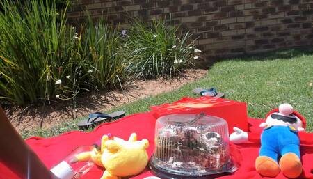 Xmas picnic