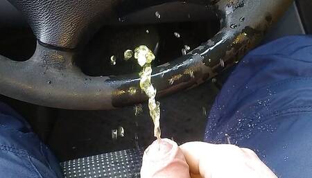Wet van fun