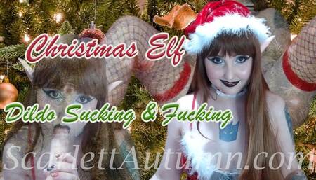Christmas Elf Sucks and Fucks a Dildo