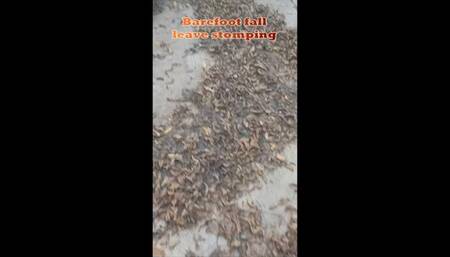Barefoot Fall Leaves Stomp m4v