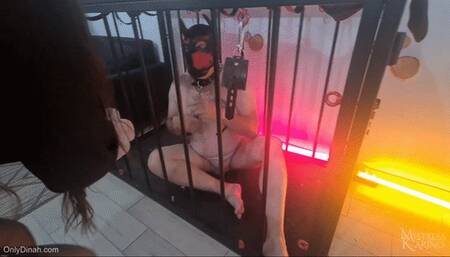 This puppy will be able to worship our slippers