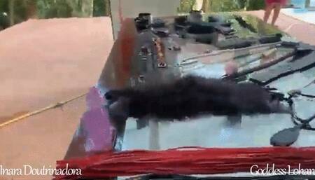 spanking in the forest