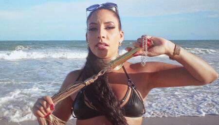 Brazilian Ebony Queen