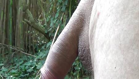 Wanking