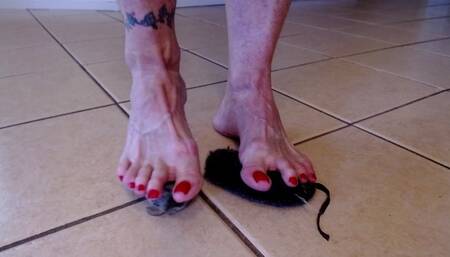 Crushing Laughing No 4