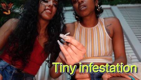 Tiny  Infestation