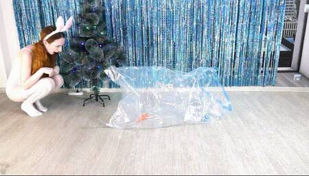 Vacuum bag Rabbit Trap