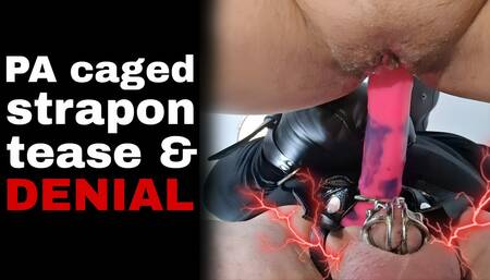 Tease and Cum Denial Femdom Miss Raven Training Zero FLR Chastity Cage Device Mistress Prince Albert PA Piercing BDSM