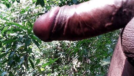 xhamster sex video xhamster sex video