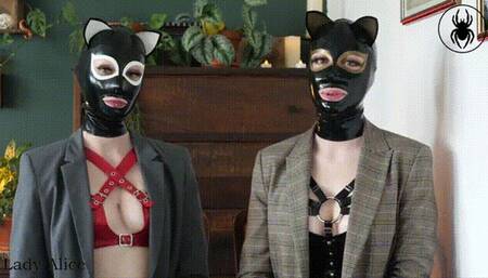 Kitty World Domination - The Beginning