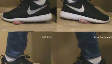 A Cock On My Stairs- (Up-Close Standard Definition)