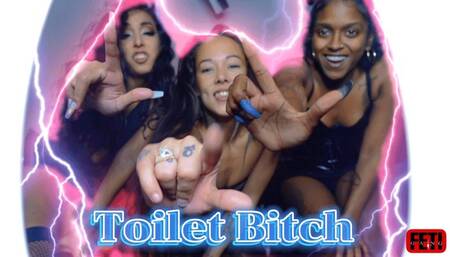 Feti Toilet Bitch-Meiko,Phoenix,Claire 4K
