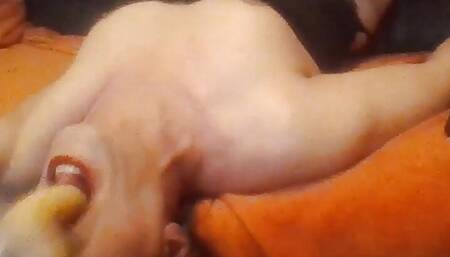 sissy crossdresser get face fucked by a fuckmachine