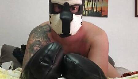 puppy play working ass an plug