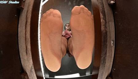 Terra Mizu asks officer to rip up a ticket, or else - MP44