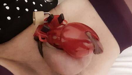 Crossdresser in stockings and suspenders wearing chastity device