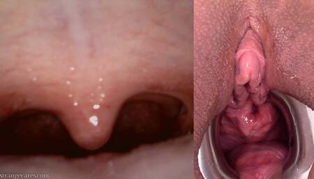 examine my mouth and pussy while I cum (720 wmv)