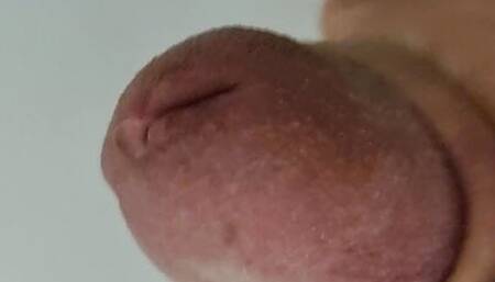 Pissing in my toilette