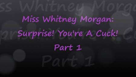 Miss Whitney Morgan: Surprise You're A Cuck part 1 - mp4