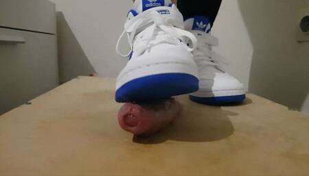 Cumpilation of November-December 2022