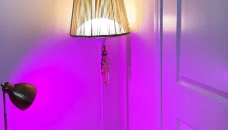 Kitten Leaves Husband So You Can Get Her Pregnant