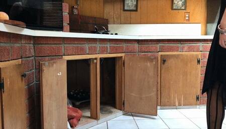 MILF stuck in the kitchen fucked by neighbor