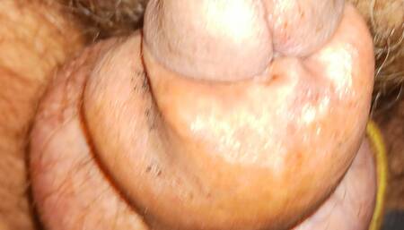 Inflated cock