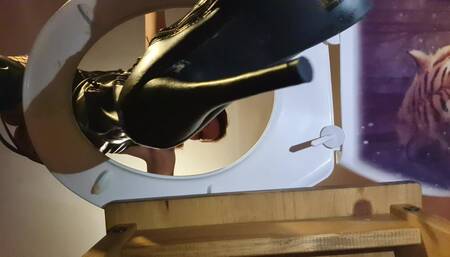 Femdom toilet humiliation