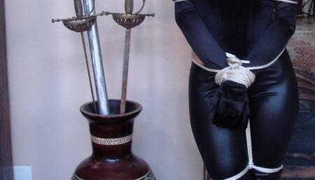 Tied and Gagged - Liz Ashley 1