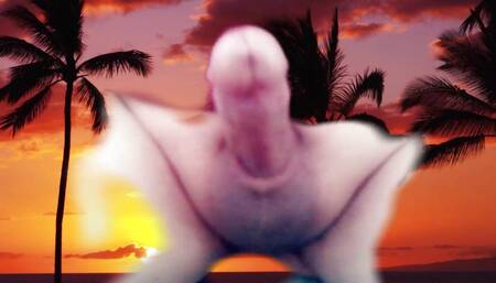masturbate