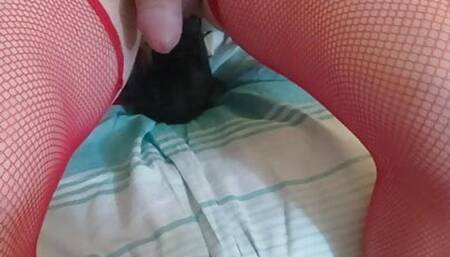 Sissy penis Syyssy training do you like my penis