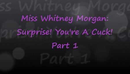 Miss Whitney Morgan: Surprise You're A Cuck part 1 - wmv