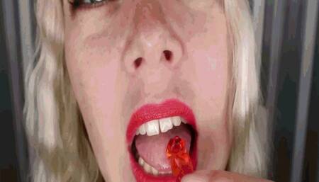 Sweet bear caught MP4(1280*720)HD