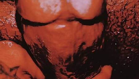 The Meat