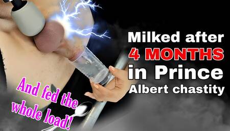 Femdom Milking After 4 Months in Chastity Cage Device Cum Eating Cumshot FLR Real Married Couple Bondage BDSM